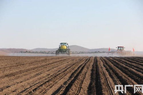 内蒙古粮食播种面积突破8000万亩 种子生产筑牢现代农业根基