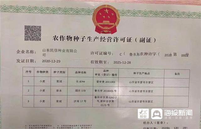 东营区核发首张农作物种子生产经营许可证 规范种业市场，护航农业生产