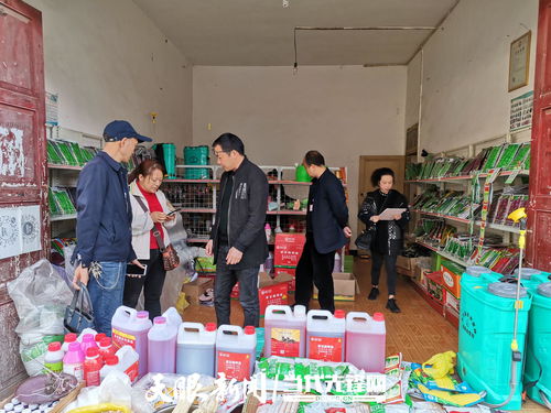 毕节大方 农资打假护春耕，促种业安全发展展新篇