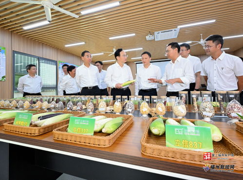 务实推进·赋能振兴 全市“千万工程”经验学习暨党建引领“五大工程”现场推进与农作物种子生产实践路径解析