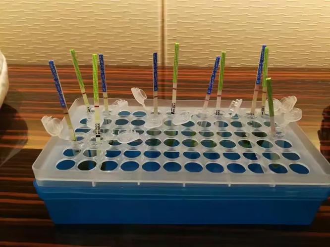 筑牢种子安全防线，守护农业绿色根基——我区农作物种子转基因监管与生产安全成效显著